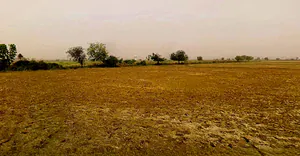 Jewar, Uttar Pradesh 203135, India preview 3