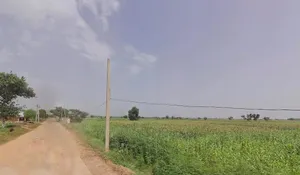 5X3R+R5J, Alipur, Rajasthan 321615, India preview 2