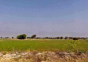 Naraina, Rajasthan 303348, India preview 3