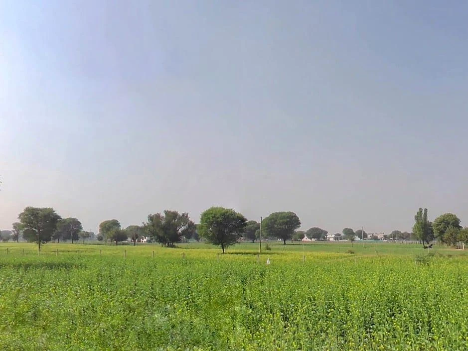 3RVH+3J7, Khora Shyamdas, Rajasthan, India