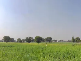 3RVH+3J7, Khora Shyamdas, Rajasthan, India preview 2