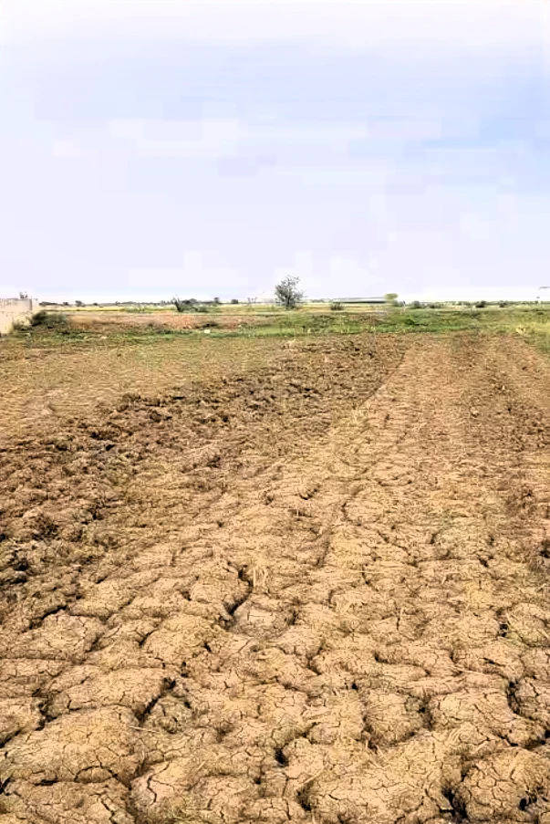 X25V+97J, Sultanpur Nuh, Haryana 122108, India