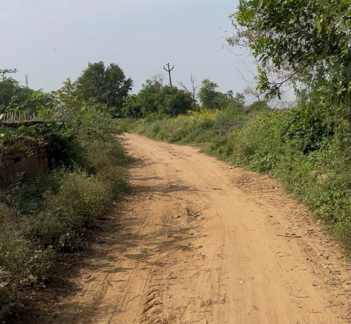 72H4+JM Bhango, Nuh, Haryana, India