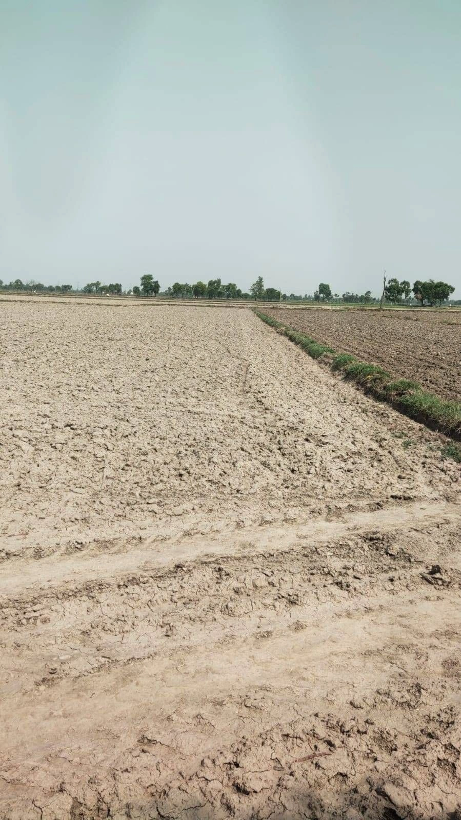Ajijpur, Uttar Pradesh, India preview 3