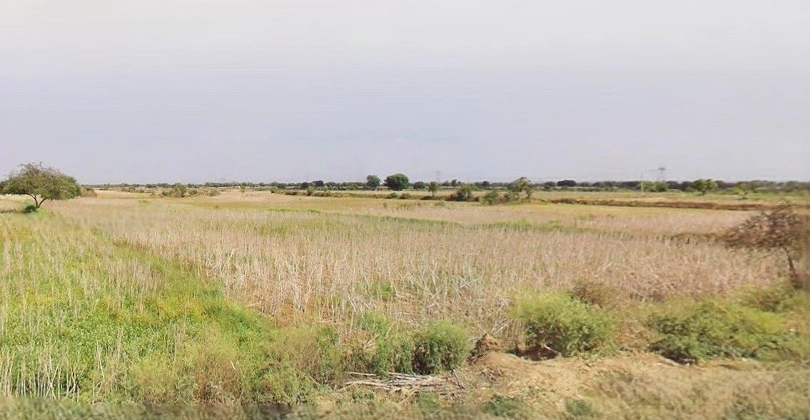 Bazpur, Uttarakhand 262401, India