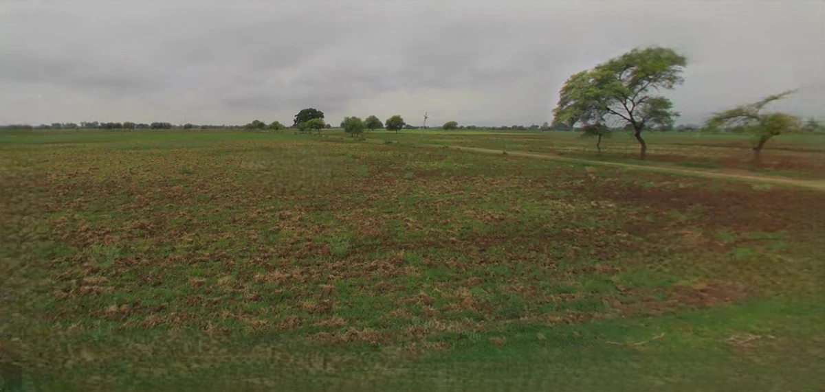 Sampla, Haryana 124501, India
