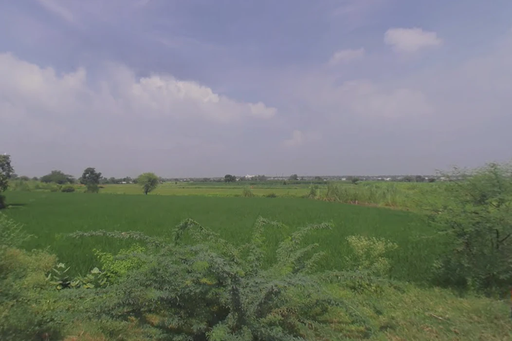 Govardhan hill, Aanyor, Uttar Pradesh 281123, India