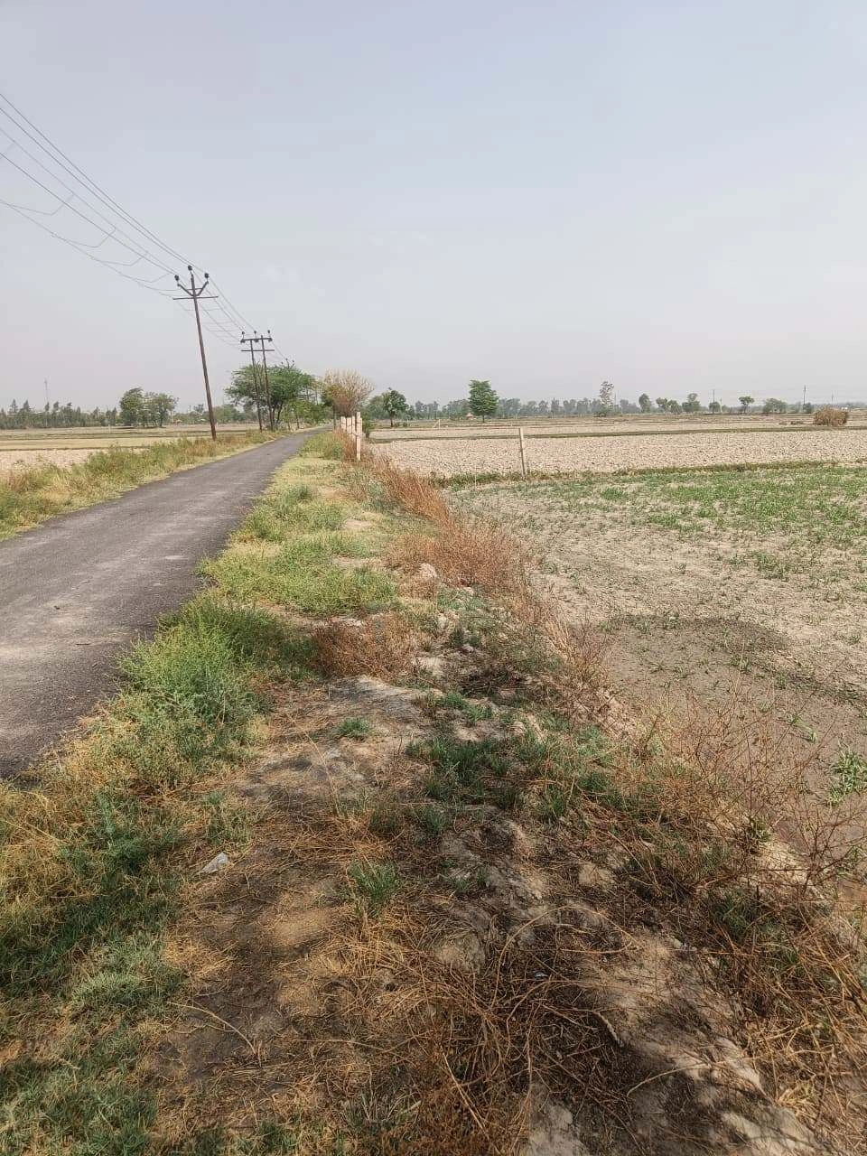 Aou, Rajasthan, India