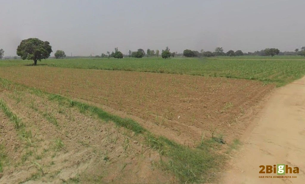 Hastinapur, Uttar Pradesh 250404, India