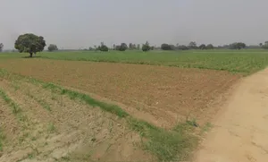 Hastinapur, Uttar Pradesh 250404, India preview 2