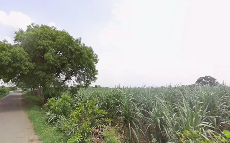 Baraut, Uttar Pradesh 250611, India preview 3