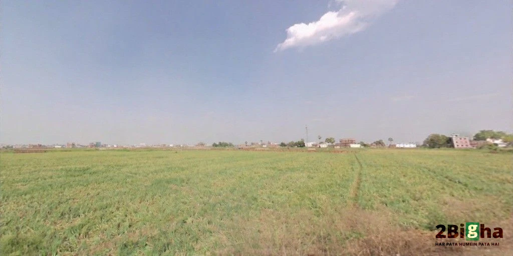 March Marchi Rd, Paijawa, Patna, Bihar 800009, India