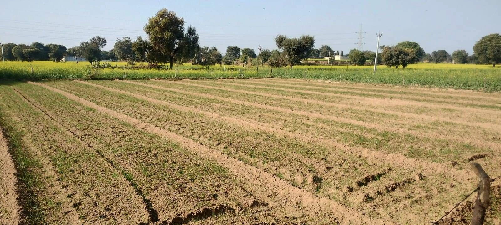 Behror, Rajasthan 301701, India