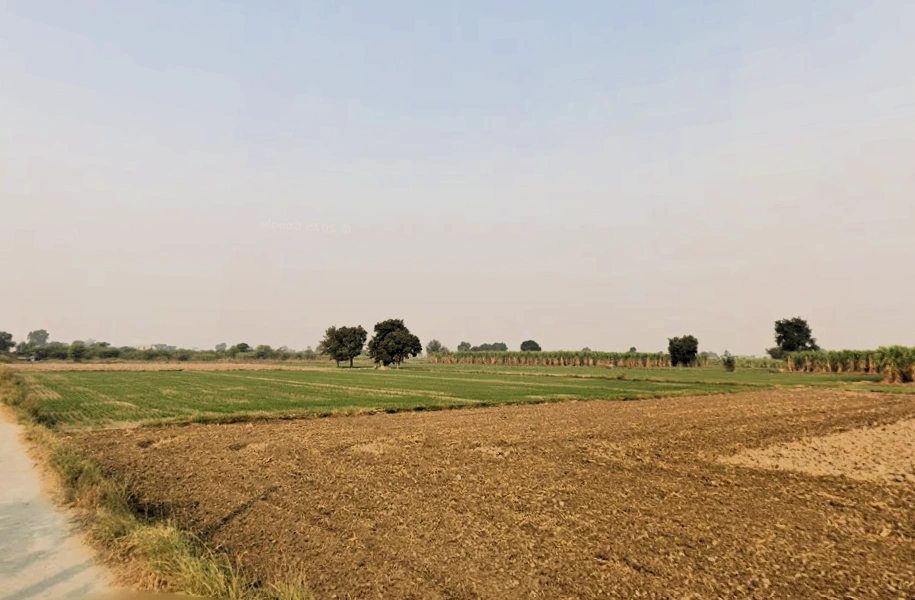 SunderPur, Haryana 126116, India