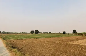 SunderPur, Haryana 126116, India preview 2