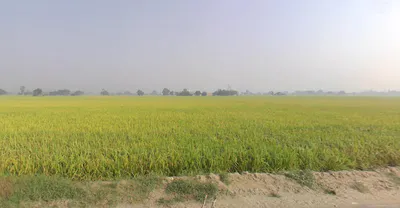 Lehra, Punjab, India preview 3