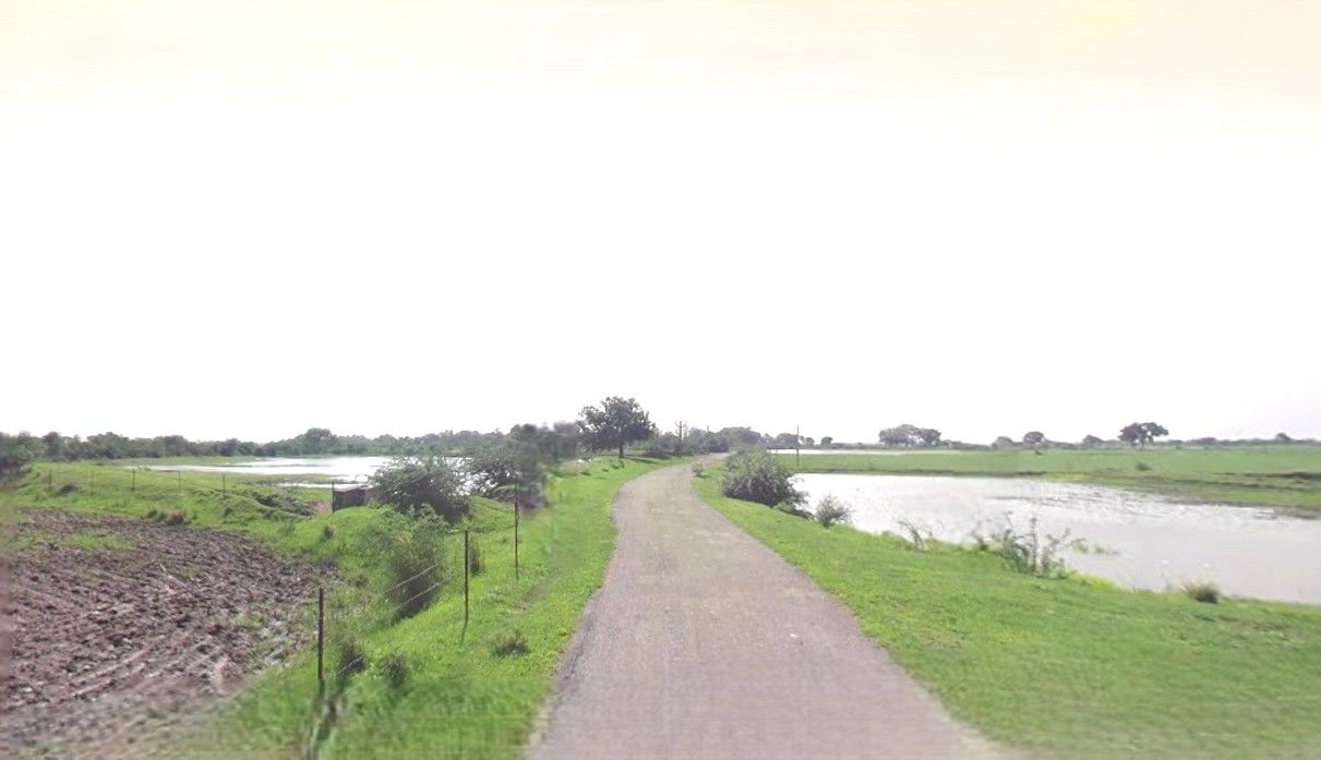 Barnagar, Madhya Pradesh 456771, India