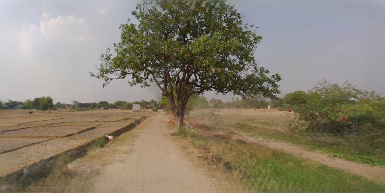 Sonipat, Haryana, India