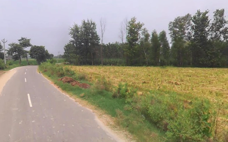 Behat, Uttar Pradesh 247121, India