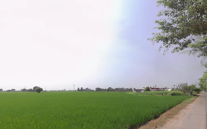 Machhike, Punjab 142039, India preview 2