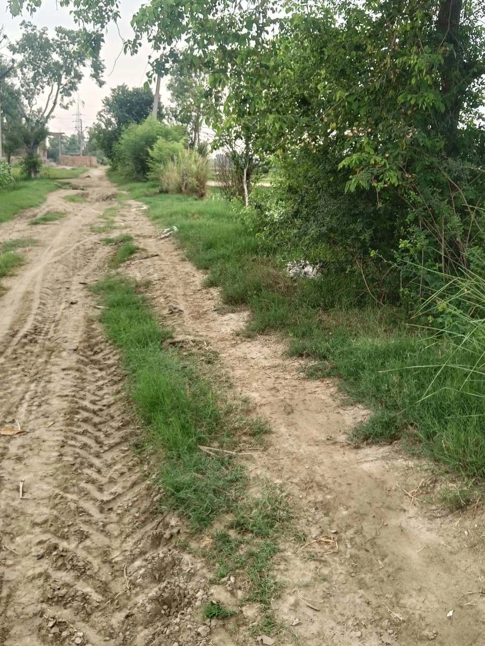 Bukharari, Mathura, Uttar Pradesh, India