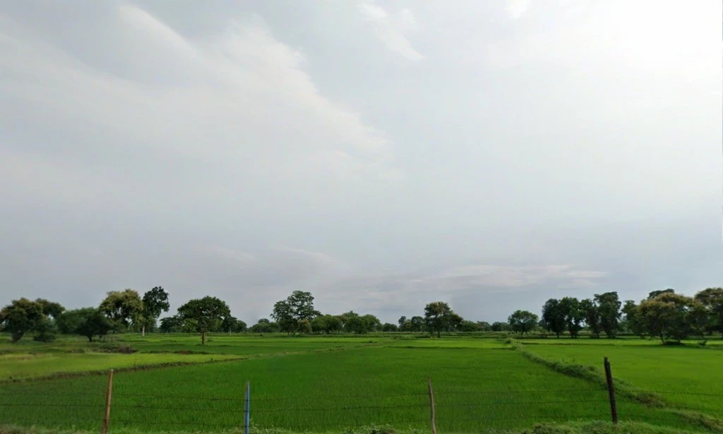 Tendukona, Chhattisgarh 493449, India