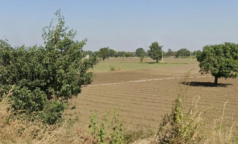 22G9+W8M, Ichhawar, Madhya Pradesh 466115, India preview 3