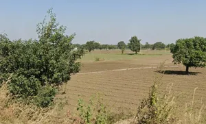 22G9+W8M, Ichhawar, Madhya Pradesh 466115, India preview 3