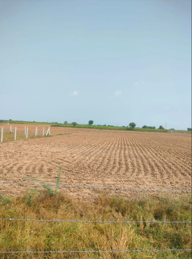 GRHV+C72, Alwar, Senthli, Sainthli, Rajasthan 301026, India - Photo 3
