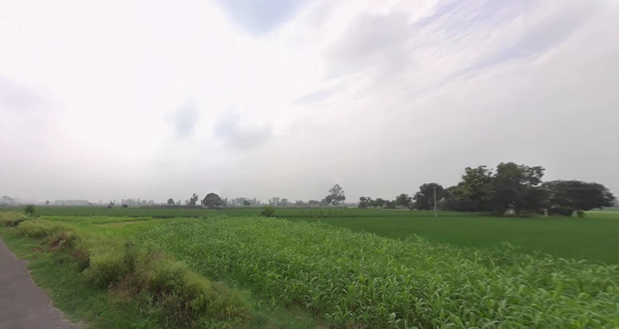 Gharaunda, Haryana 132114, India