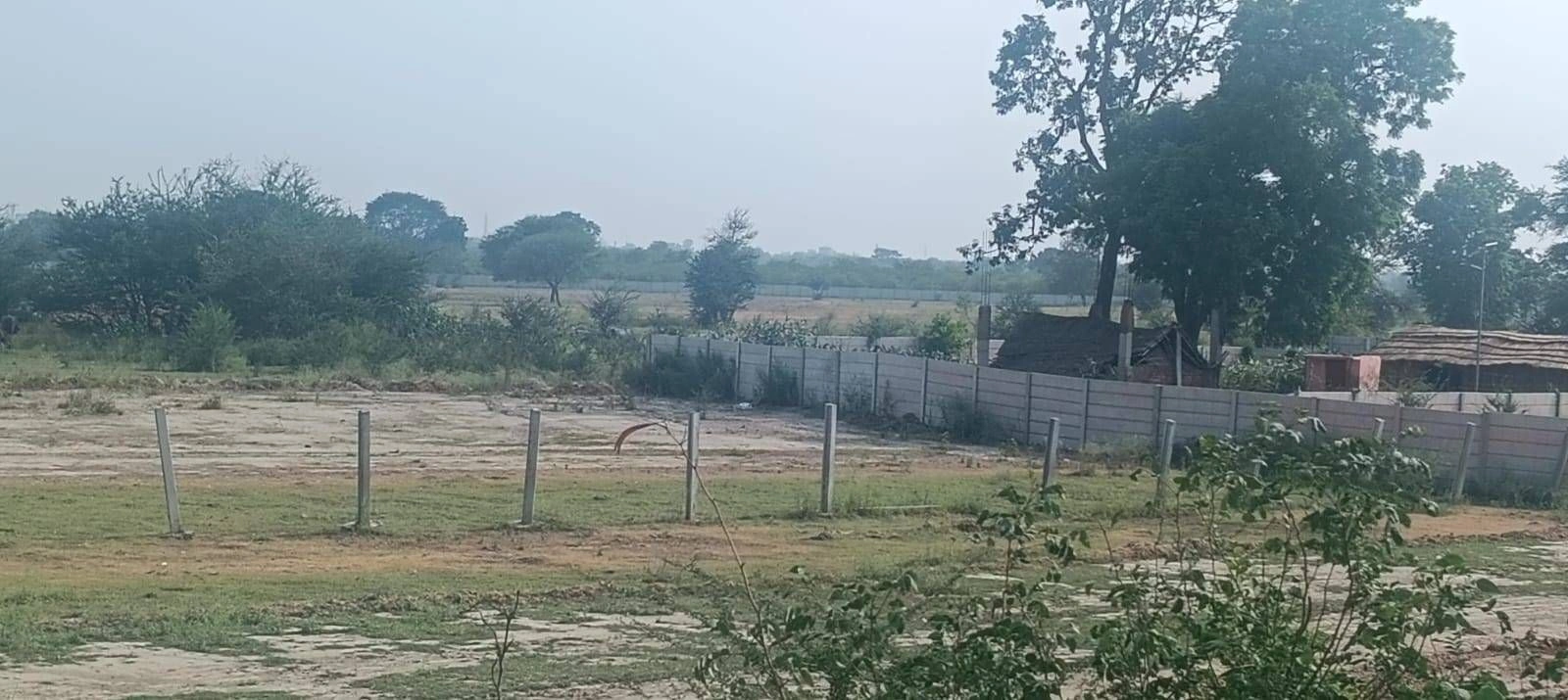 Tekri, Madhya Pradesh 481222, India