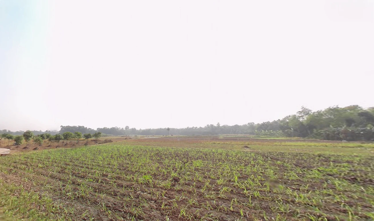 Duttapukur, Gangapur, West Bengal 743248, India