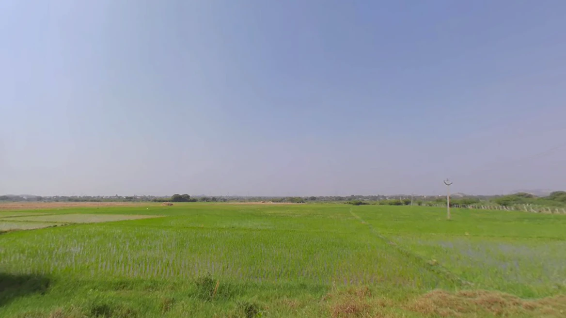 Kalwakurthy, Telangana 509324, India
