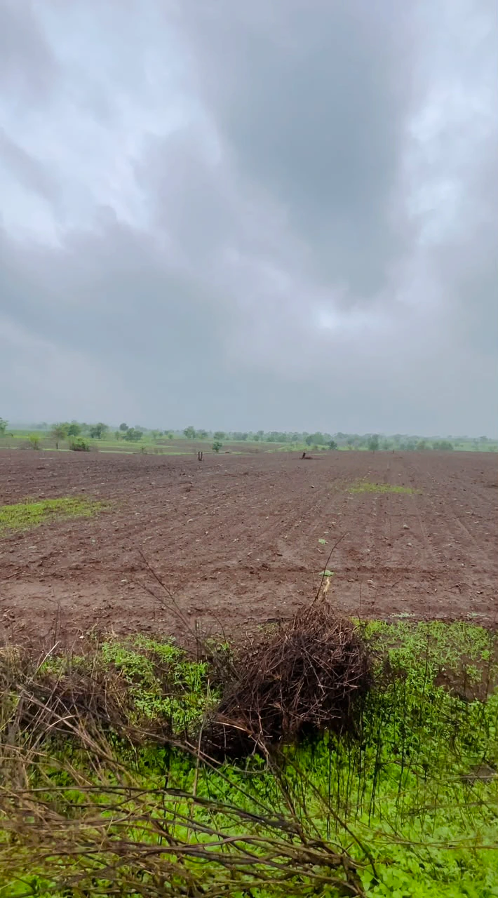 Khudaganj, Shahjahanpur, Uttar Pradesh 242305, India