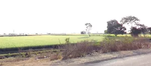Badkhera, Madhya Pradesh 483501, India preview 3