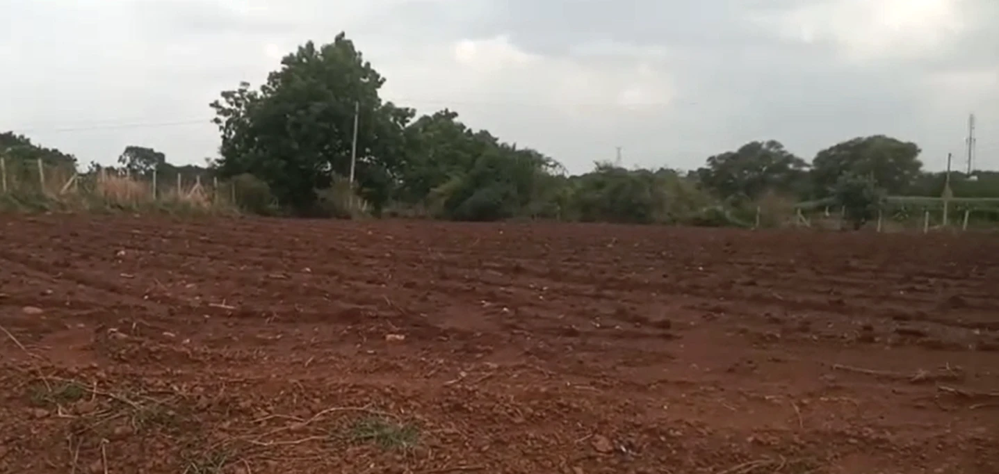 CWHM+843, Vikarabad, Ekmamidi, Telangana 501102, India