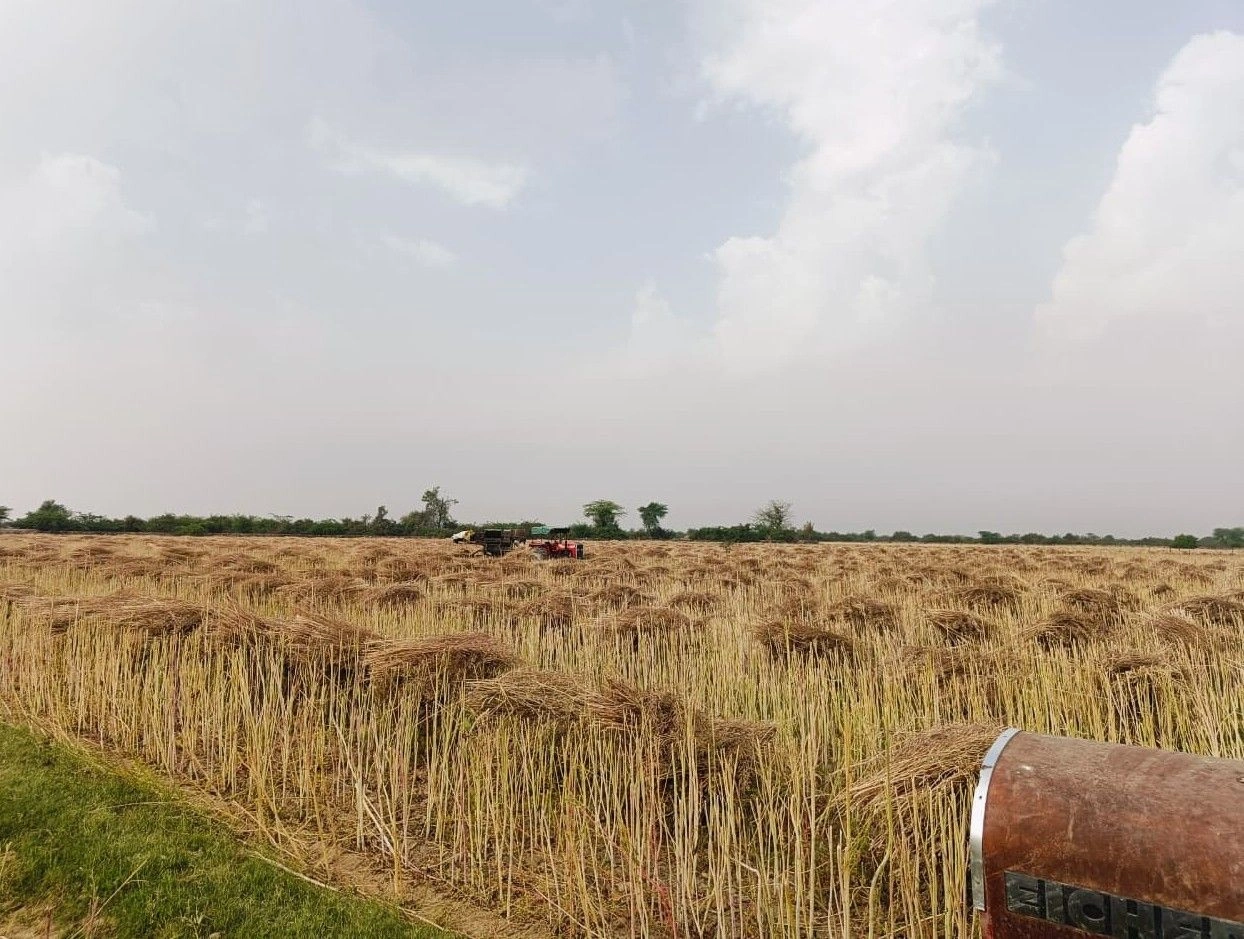 Gharwari, Rajasthan 321201, India