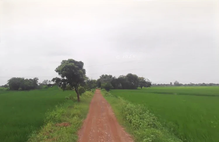 Bachhgaon, Uttar Pradesh 283204, India