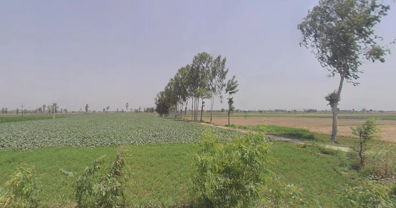 Thakurdwara, Uttar Pradesh 244601, India