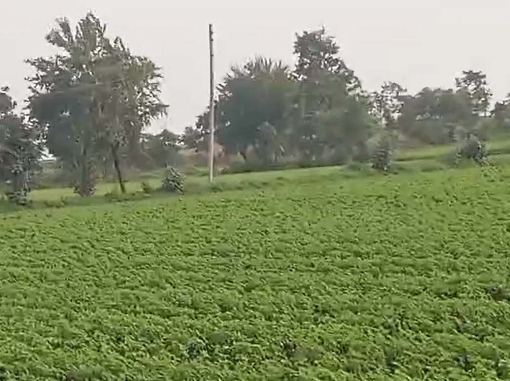 57PW+RG Bardu, Dewas, Madhya Pradesh, India