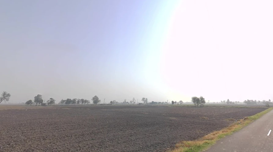 Patran, Punjab 147105, India