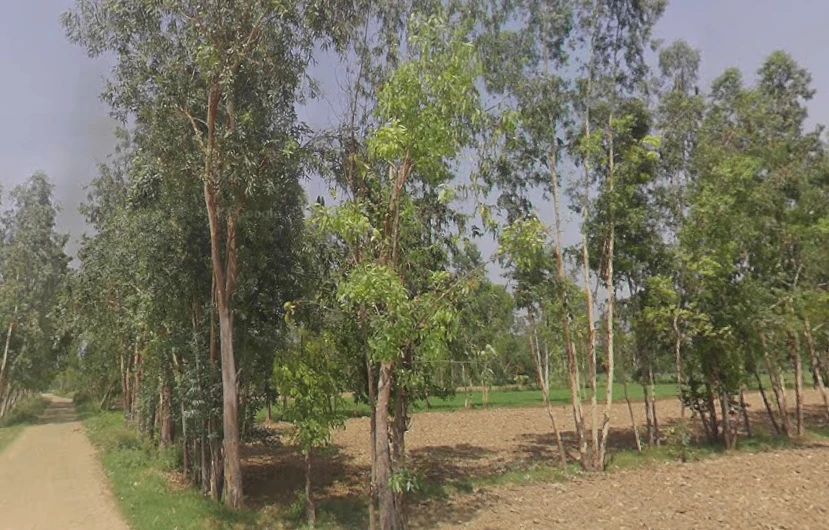 Akbarpur, Uttar Pradesh 244411, India