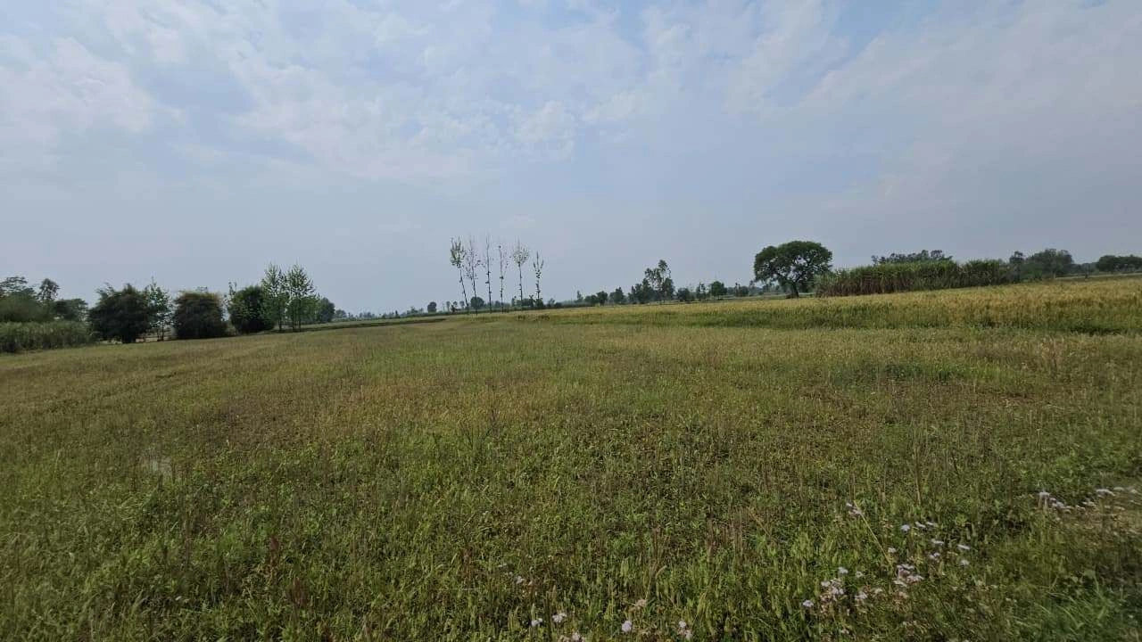 G366+2GQ, Borda Kachhiyan, Rajasthan 323803, India