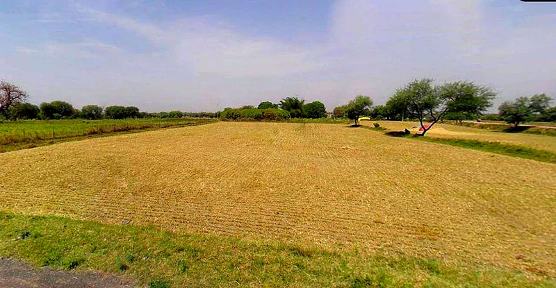 Chaumuhan, Uttar Pradesh 281406, India preview 2