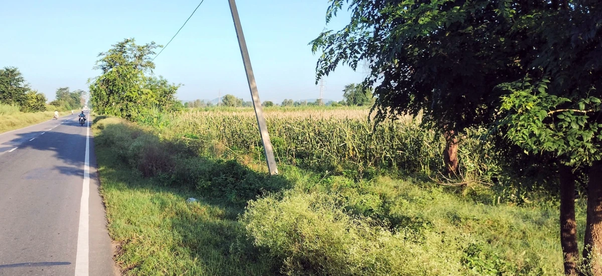 Semli, Rajasthan, India