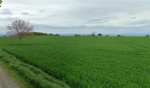 Upda, Madhya Pradesh, India preview 2