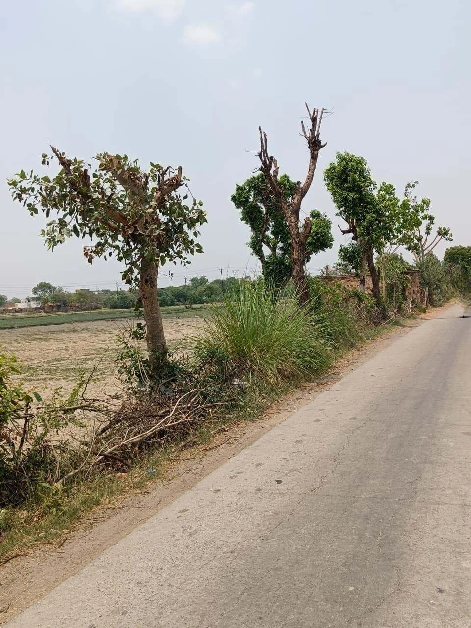 Gharwari, Rajasthan 321201, India