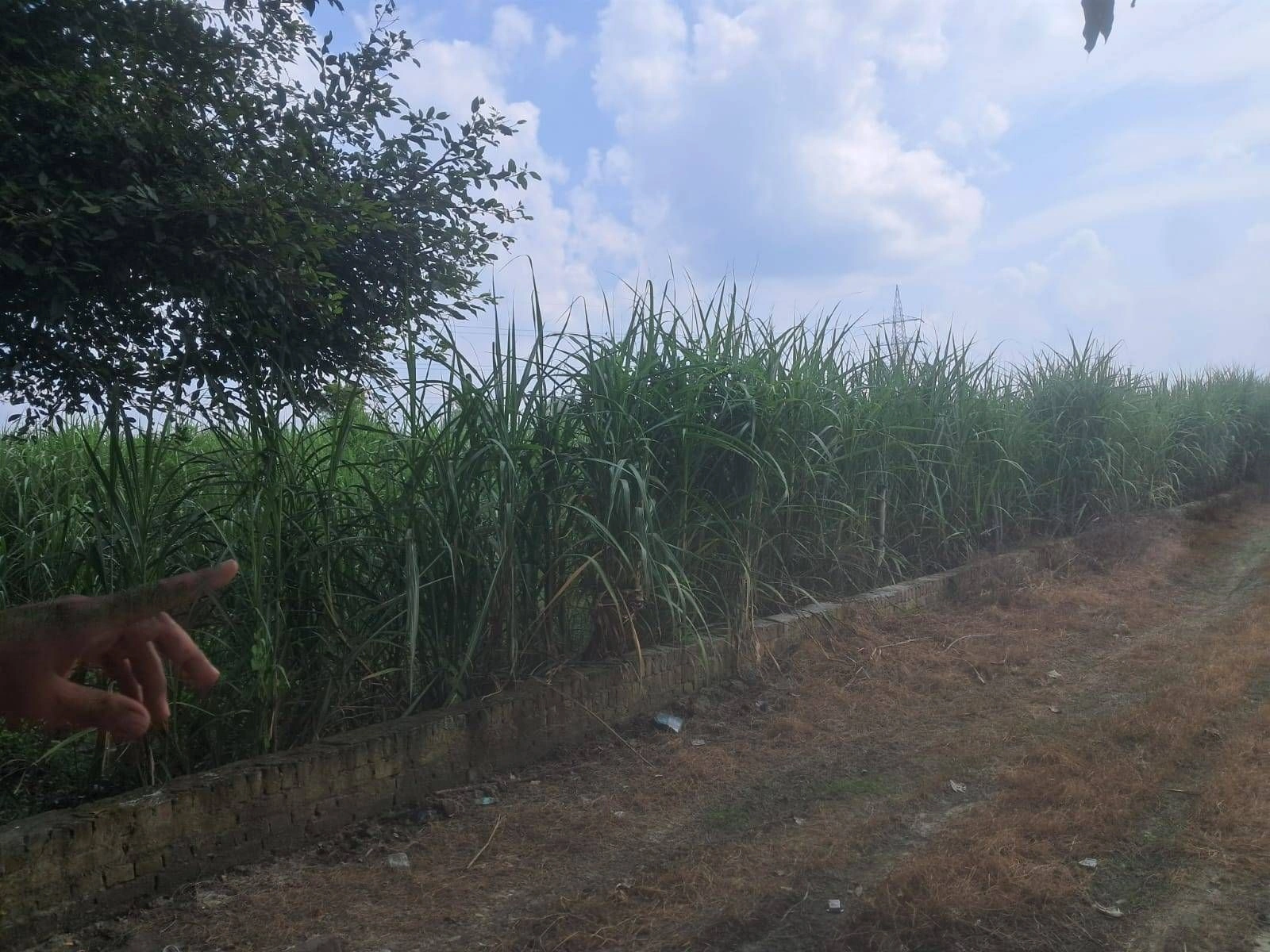 P5HR+265, Ayodhya, Kishundas Pur, Firozpur, Uttar Pradesh 224133, India