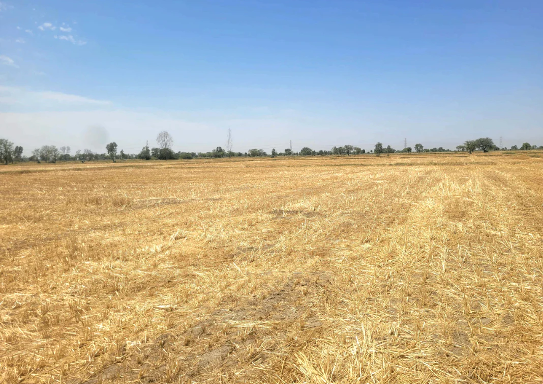 Mandhana, Haryana 127032, India