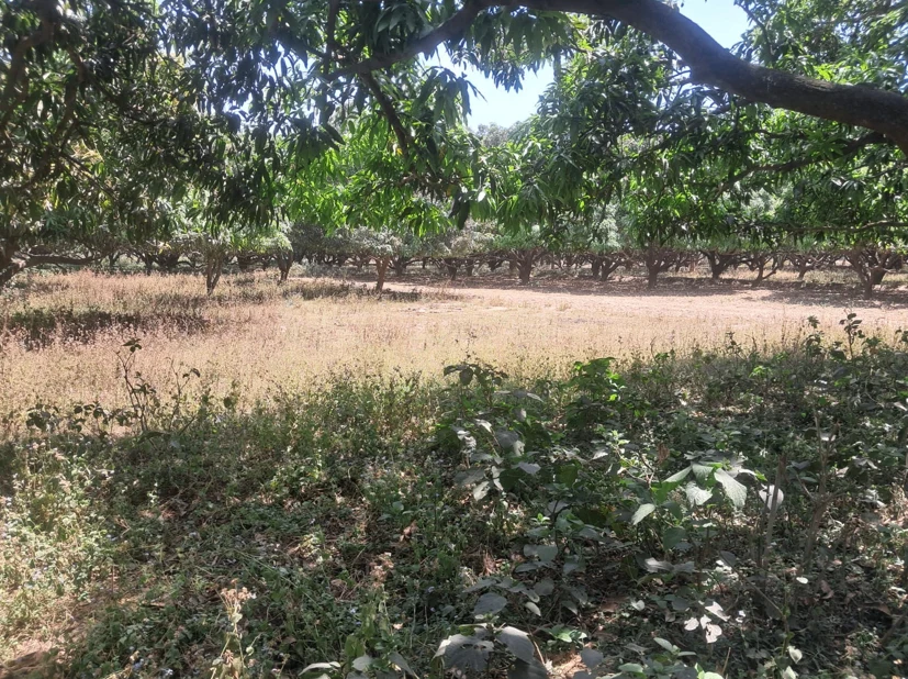 Barnagar, Madhya Pradesh 456771, India preview 2